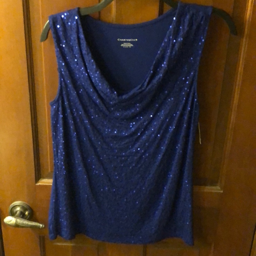 Blue sequin top